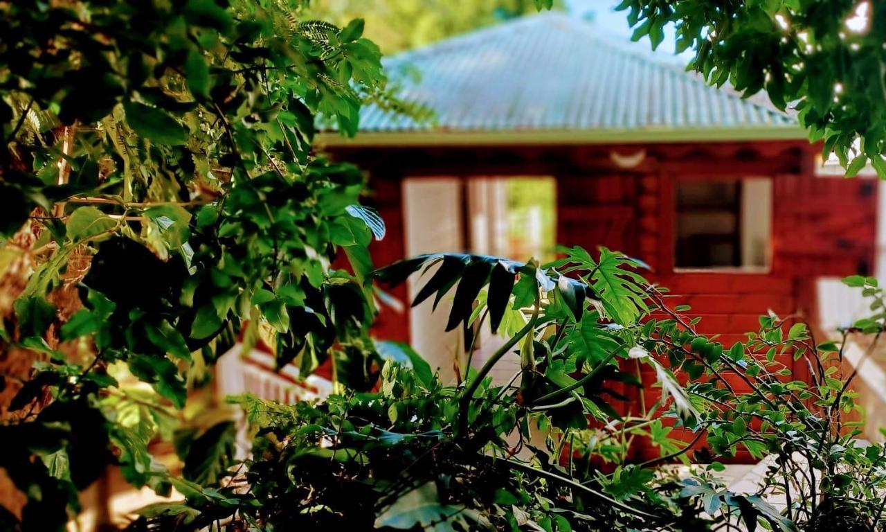 Gite Mamour - Charmant Petit Bungalow A Decouvrir Baillif Экстерьер фото